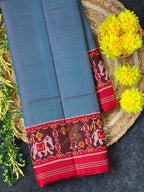Blue Gala Border With Designer Blouse Handwoven Patola Silk Saree